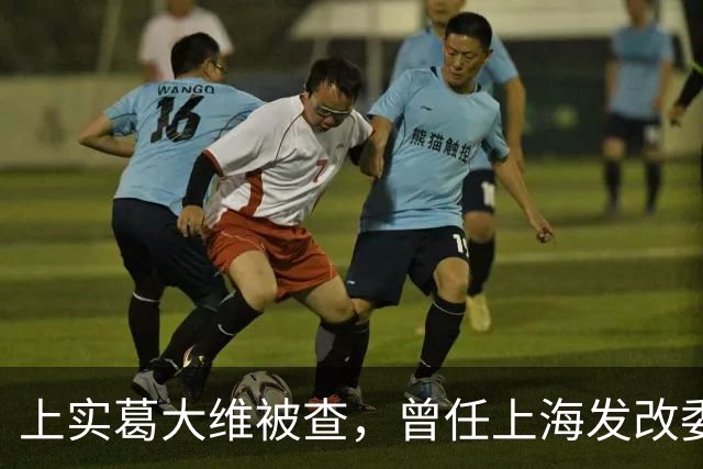 上实葛大维被查，曾任上海发改委副主任，同集团原总裁刚判死缓