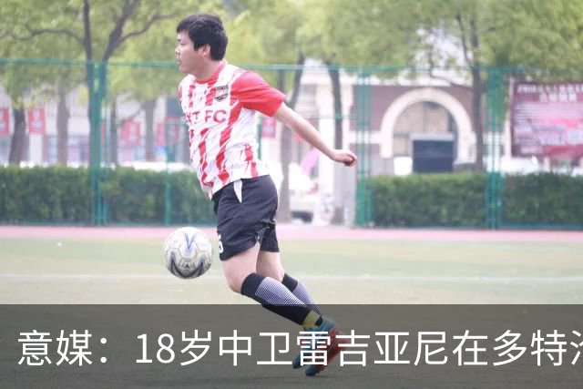 意媒：18岁中卫雷吉亚尼在多特沦为边缘人，AC米兰有意替代加比亚