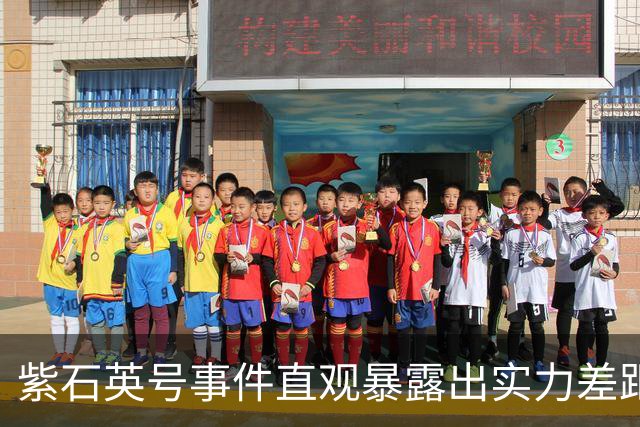 紫石英号事件直观暴露出实力差距：华野麾下所有炮兵的火力总量相加，竟然比不过英军一艘重型巡洋舰的火力