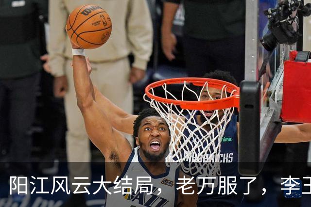 阳江风云大结局，老万服了，李玉良再次消失